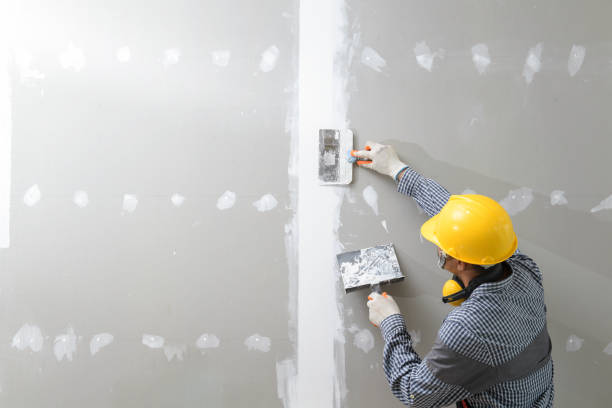 Best Residential Mold Inspection & Testing  in Maysville, NC