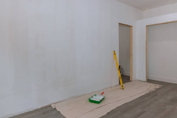 Best Attic Mold Removal  in Maysville, NC