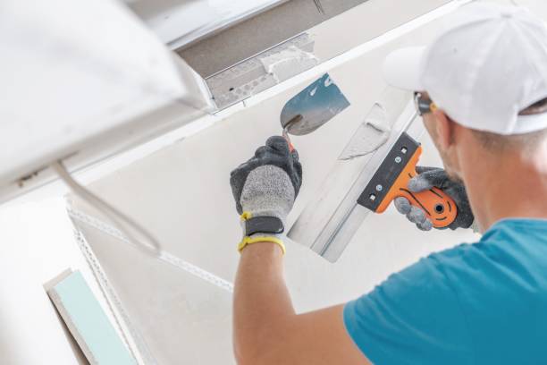 Best Comprehensive Air Testing for Mold Contaminants  in Maysville, NC